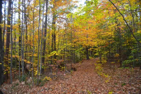 294 Knox Mountain Road Sanbornton NH 03269