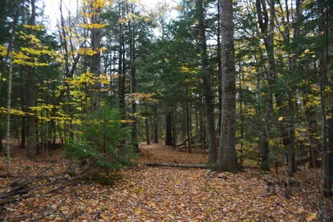 294 Knox Mountain Road Sanbornton NH 03269