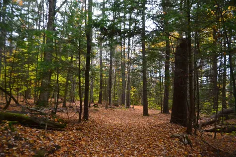 294 Knox Mountain Road Sanbornton NH 03269