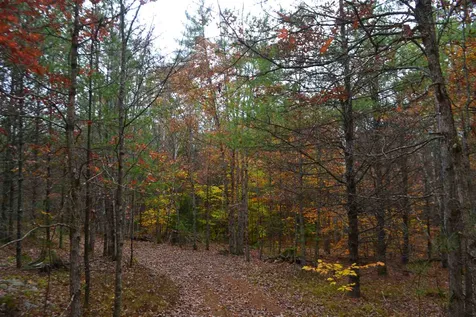 294 Knox Mountain Road Sanbornton NH 03269