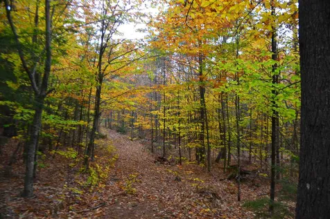 294 Knox Mountain Road Sanbornton NH 03269