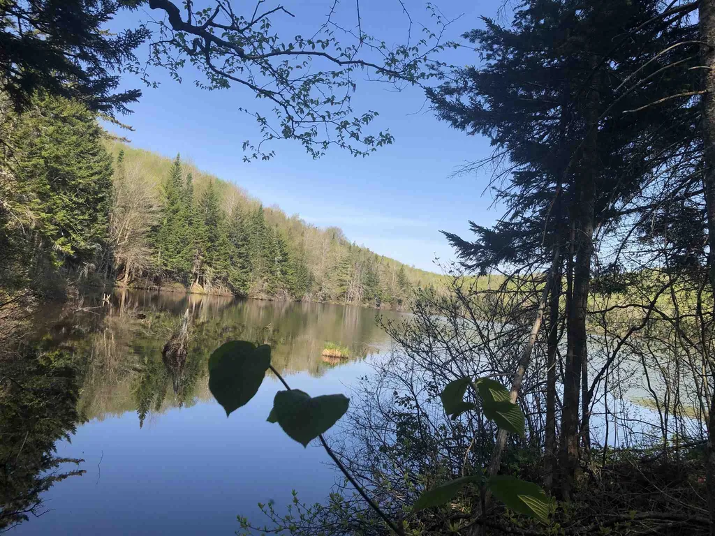 Bryant Pond Road Canaan NH 03266