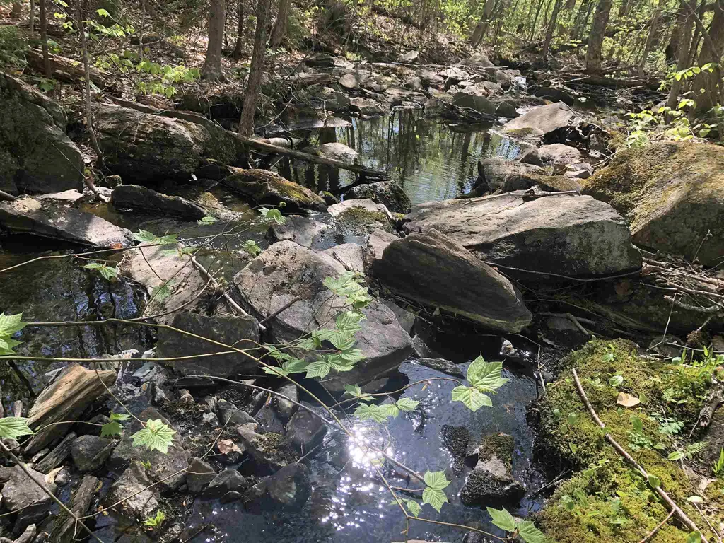 Bryant Pond Road Canaan NH 03266