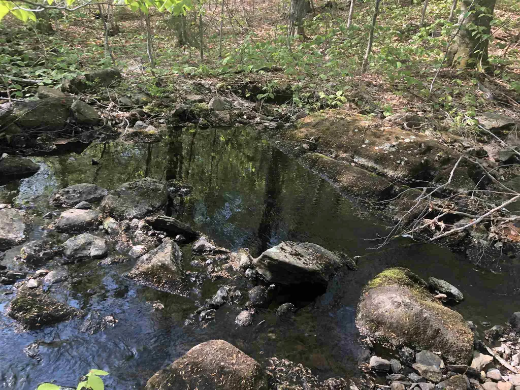 Bryant Pond Road Canaan NH 03266
