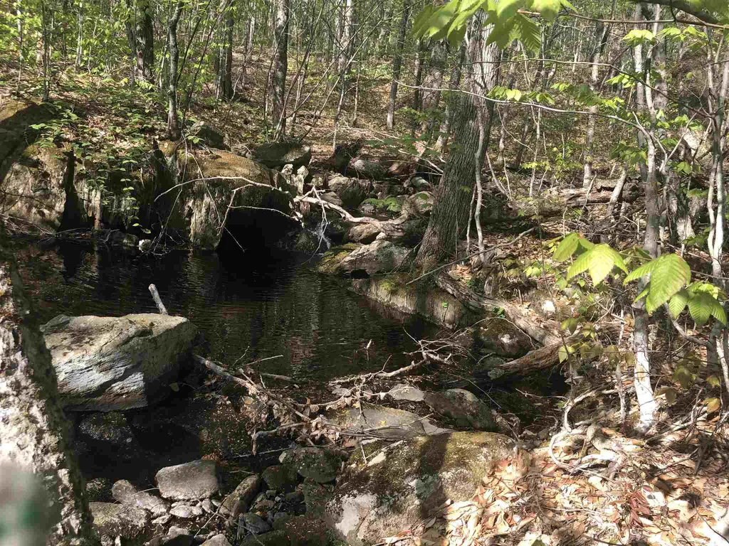 Bryant Pond Road Canaan NH 03266