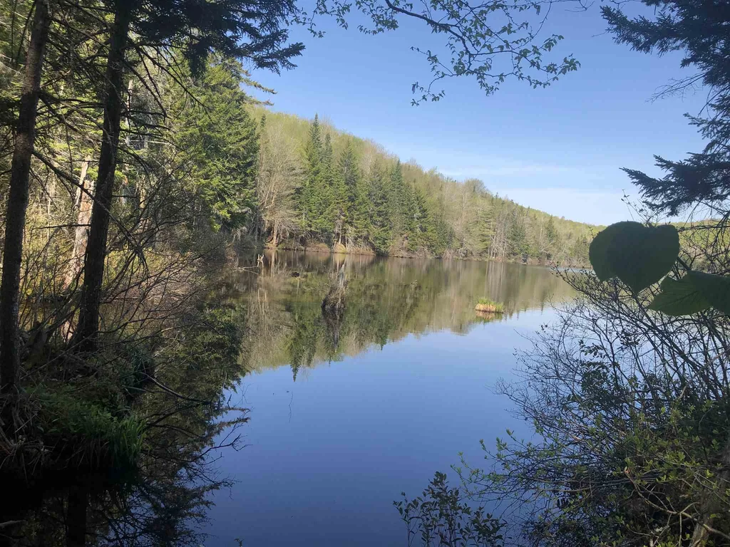 Bryant Pond Road Canaan NH 03266