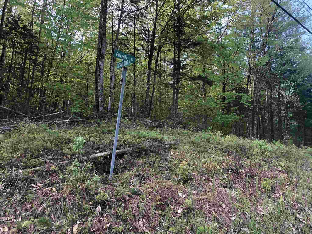 Bryant Pond Road Canaan NH 03266