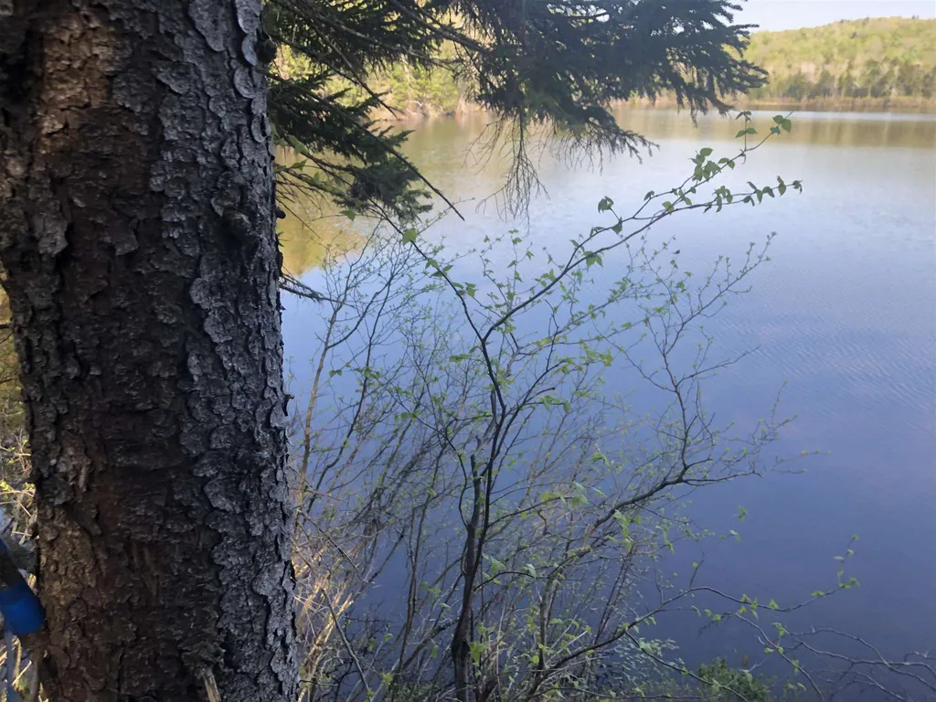 Bryant Pond Road Canaan NH 03266