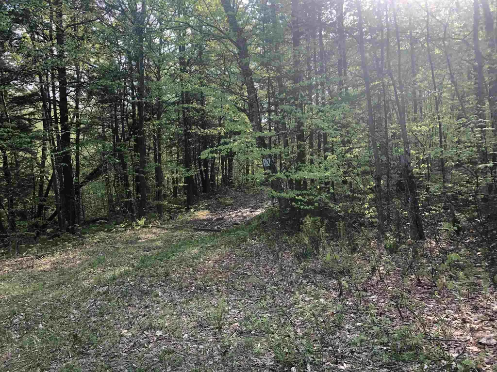 Bryant Pond Road Canaan NH 03266
