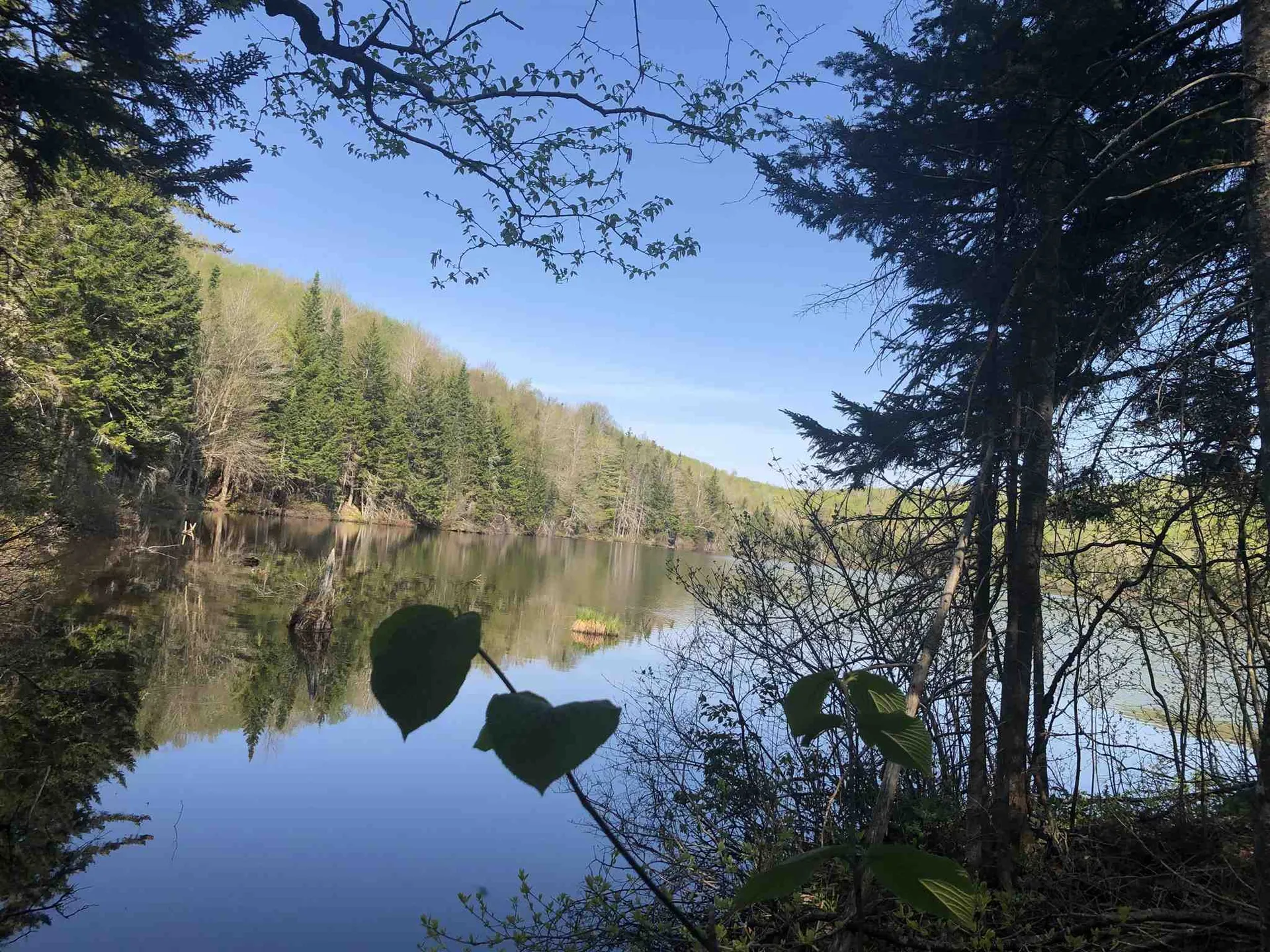 Bryant Pond Road Canaan NH 03266