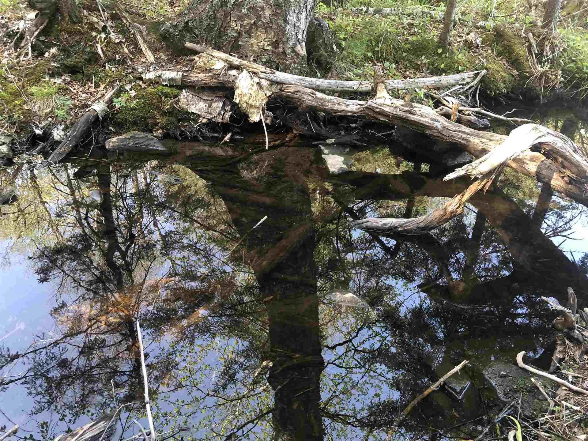 Bryant Pond Road Canaan NH 03266