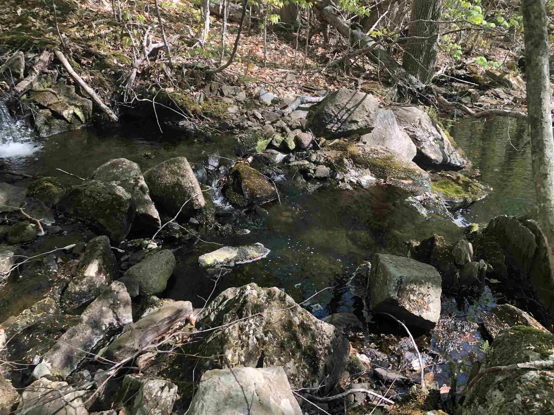Bryant Pond Road Canaan NH 03266
