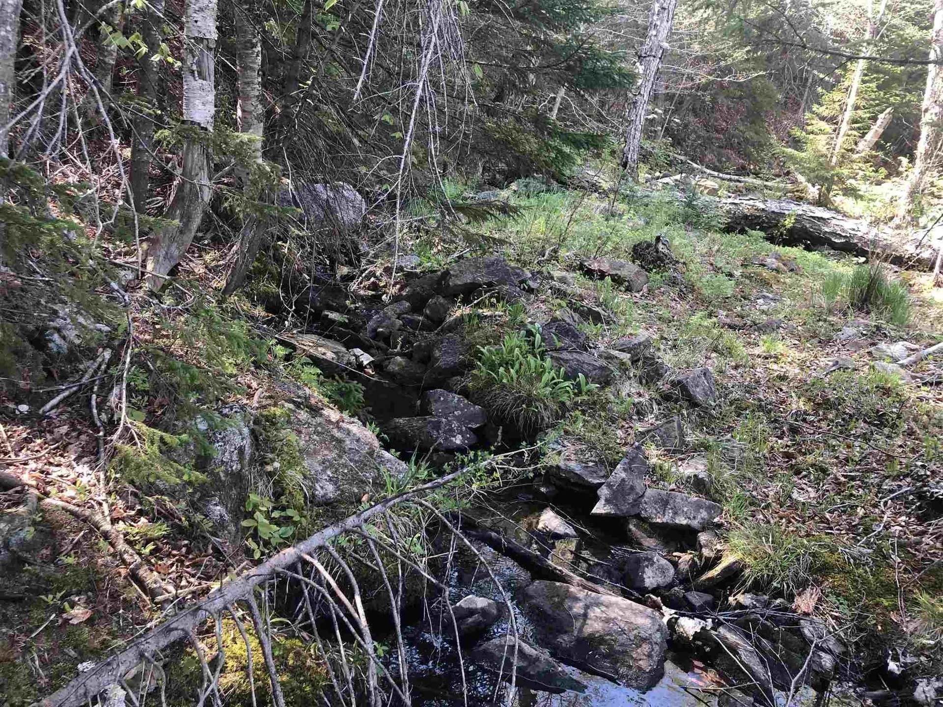 Bryant Pond Road Canaan NH 03266