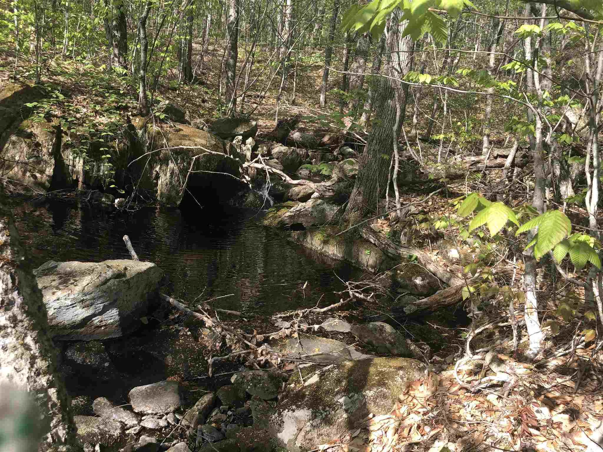 Bryant Pond Road Canaan NH 03266