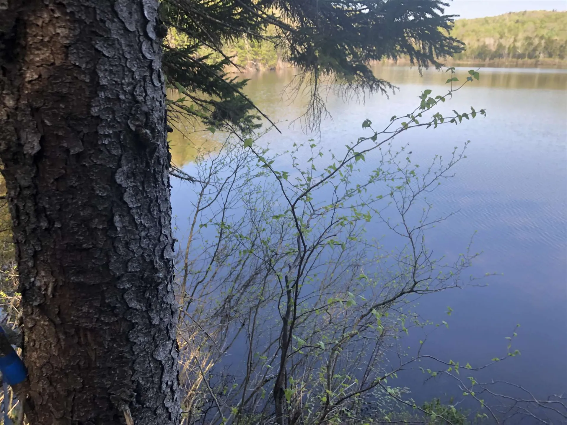 Bryant Pond Road Canaan NH 03266