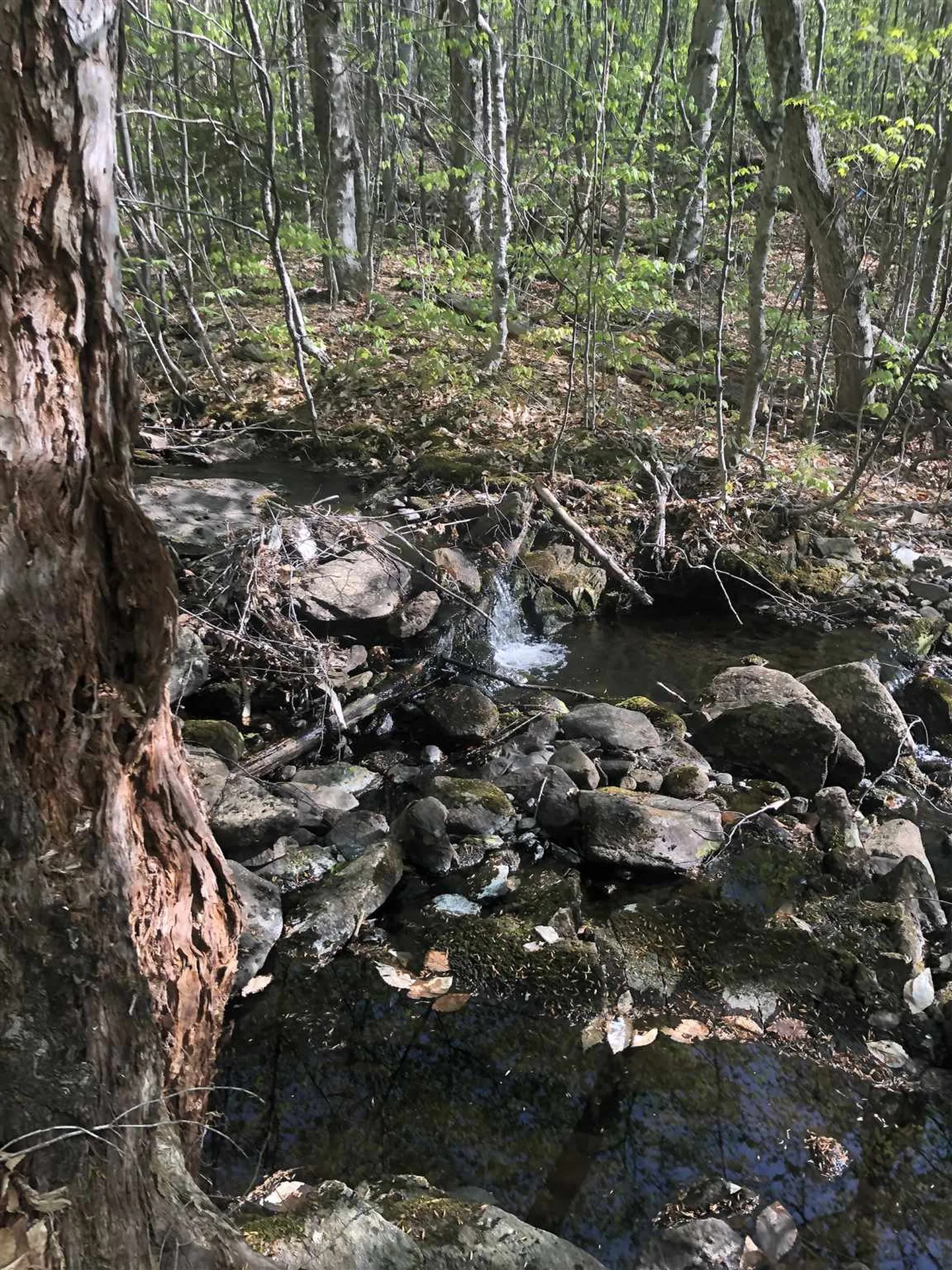 Bryant Pond Road Canaan NH 03266