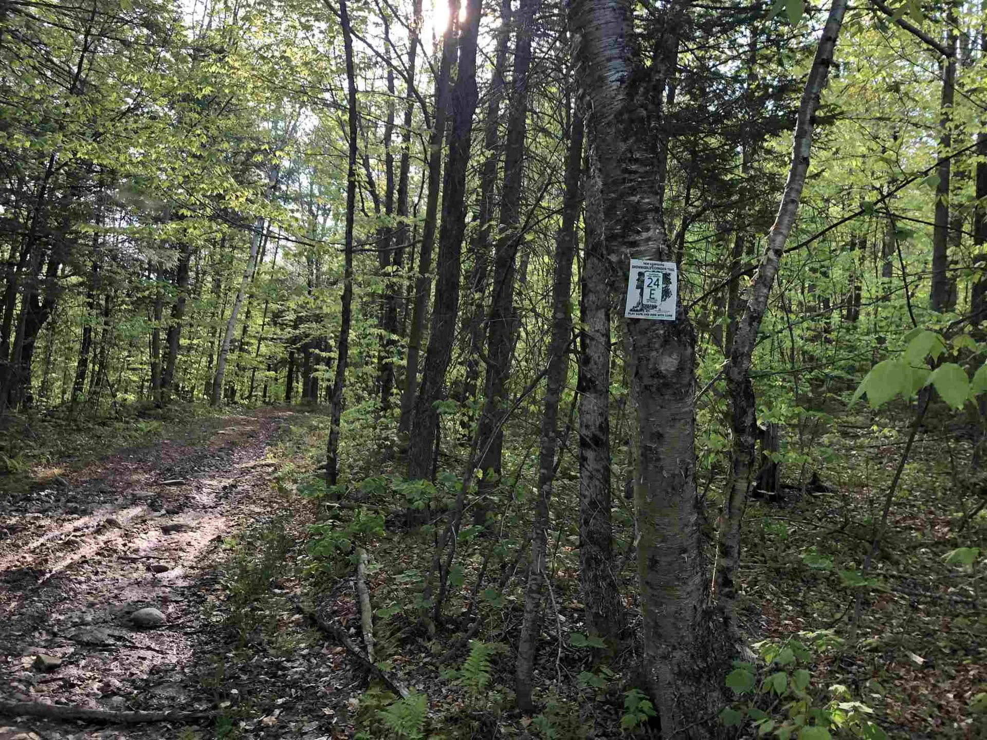 Bryant Pond Road Canaan NH 03266