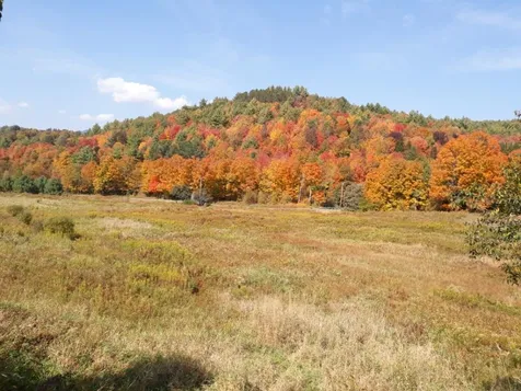 139 Lisle Hill Road Wilmington VT 05363