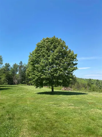 655 Kinsey Road Barton VT 05822