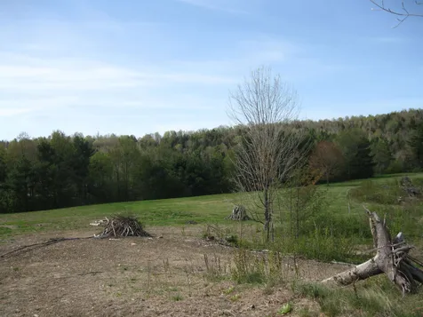 655 Kinsey Road Barton VT 05822