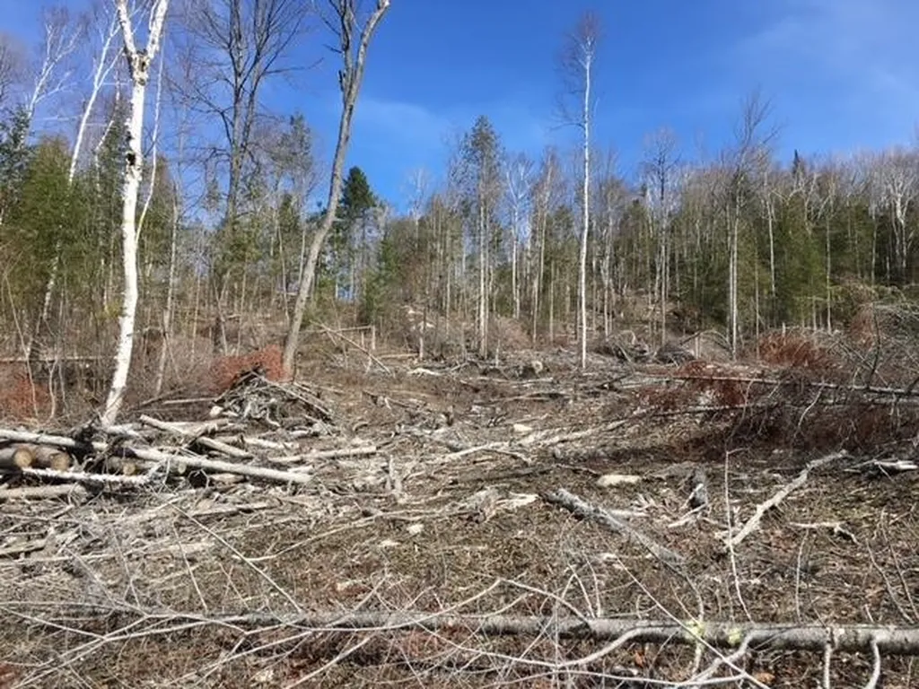 0 Fish Pond Road Columbia NH 03576