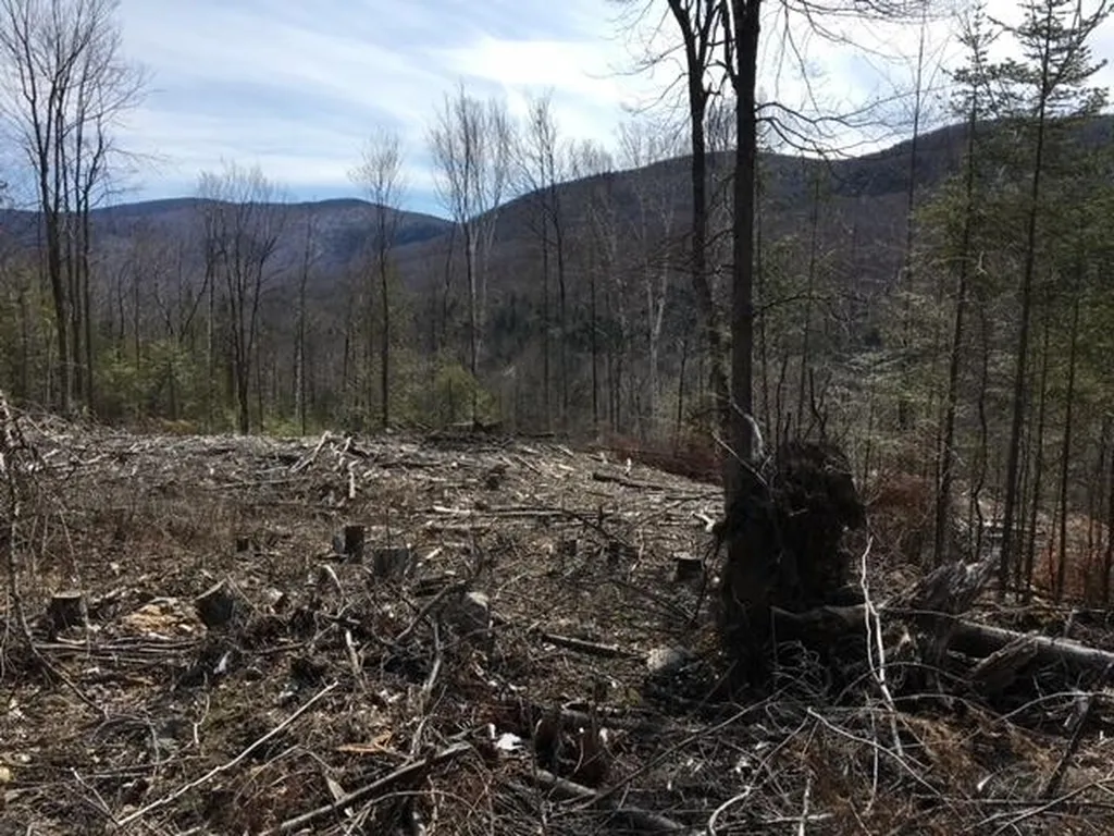0 Fish Pond Road Columbia NH 03576