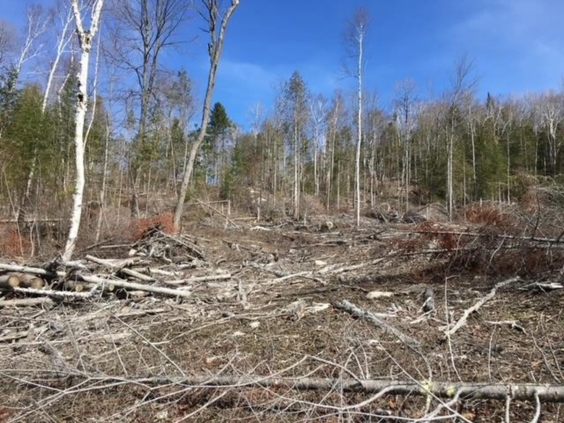 0 Fish Pond Road Columbia NH 03576