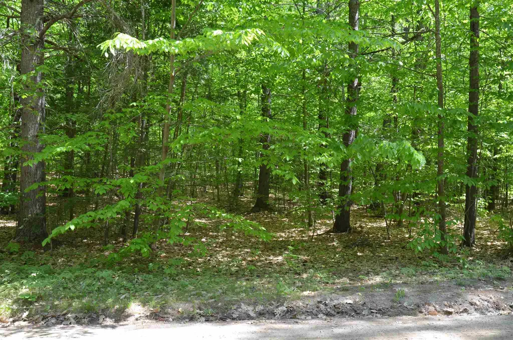 Lot 87 Freedom Point Road Freedom NH 03836
