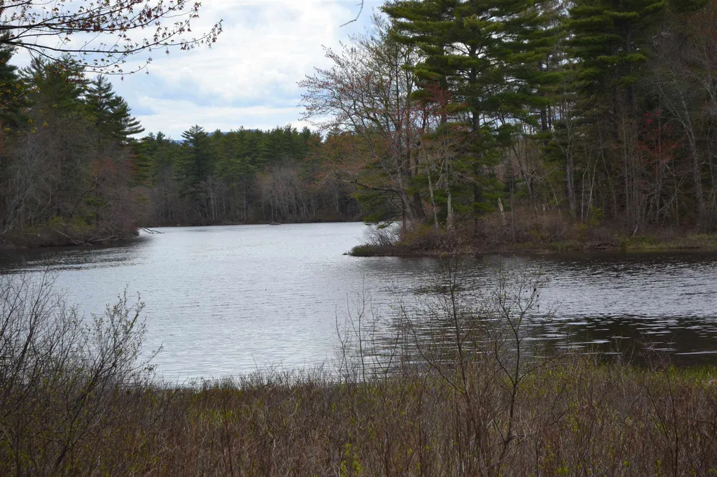 Lot 87 Freedom Point Road Freedom NH 03836