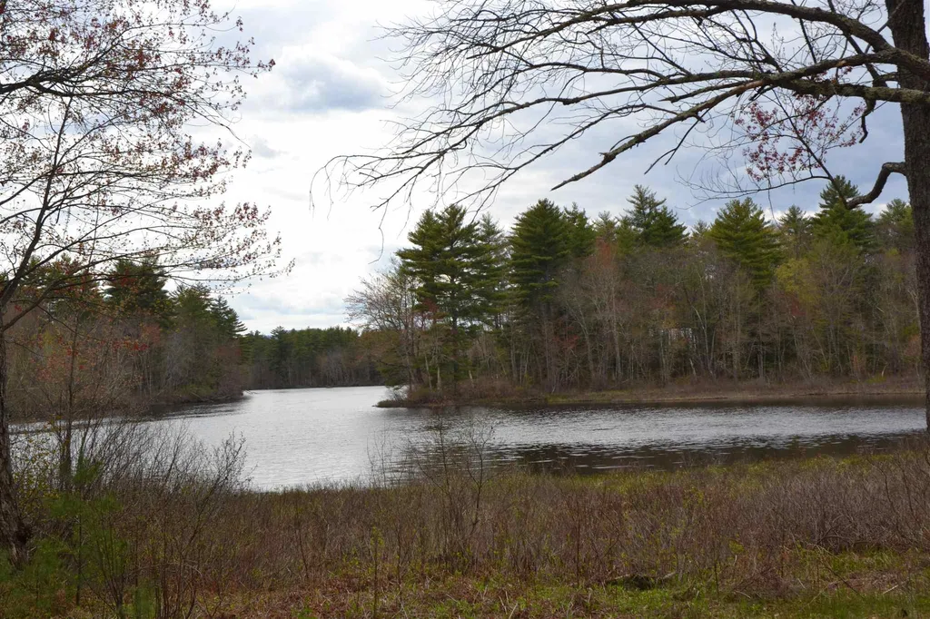 Lot 87 Freedom Point Road Freedom NH 03836