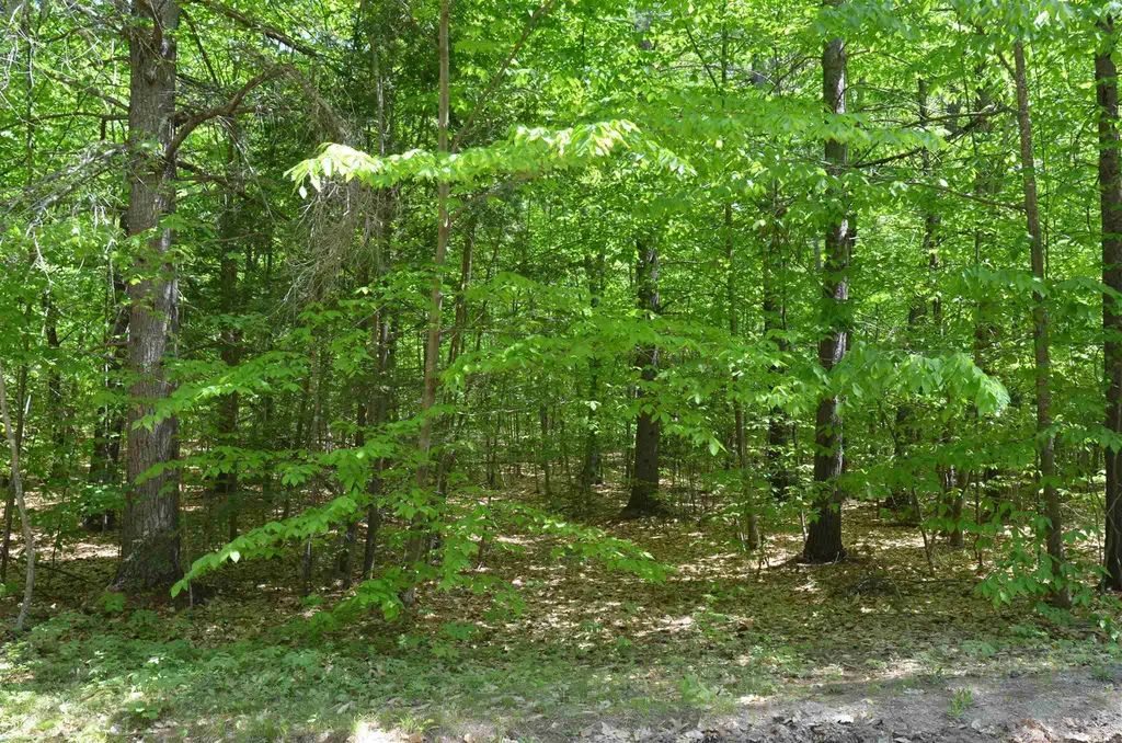 Lot 87 Freedom Point Road Freedom NH 03836
