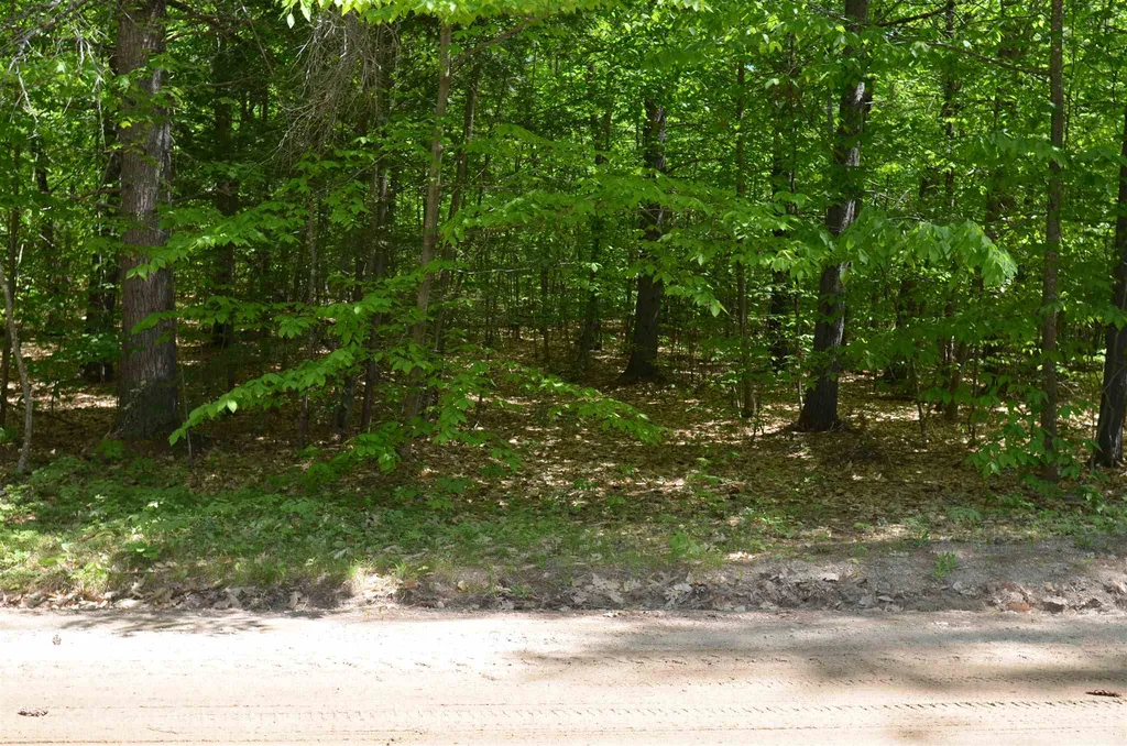 Lot 87 Freedom Point Road Freedom NH 03836