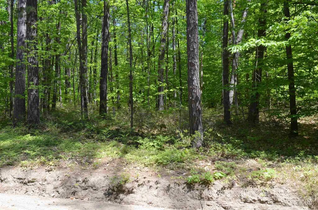 Lot 87 Freedom Point Road Freedom NH 03836