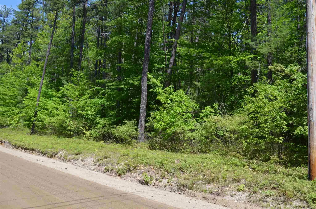 Lot 87 Freedom Point Road Freedom NH 03836