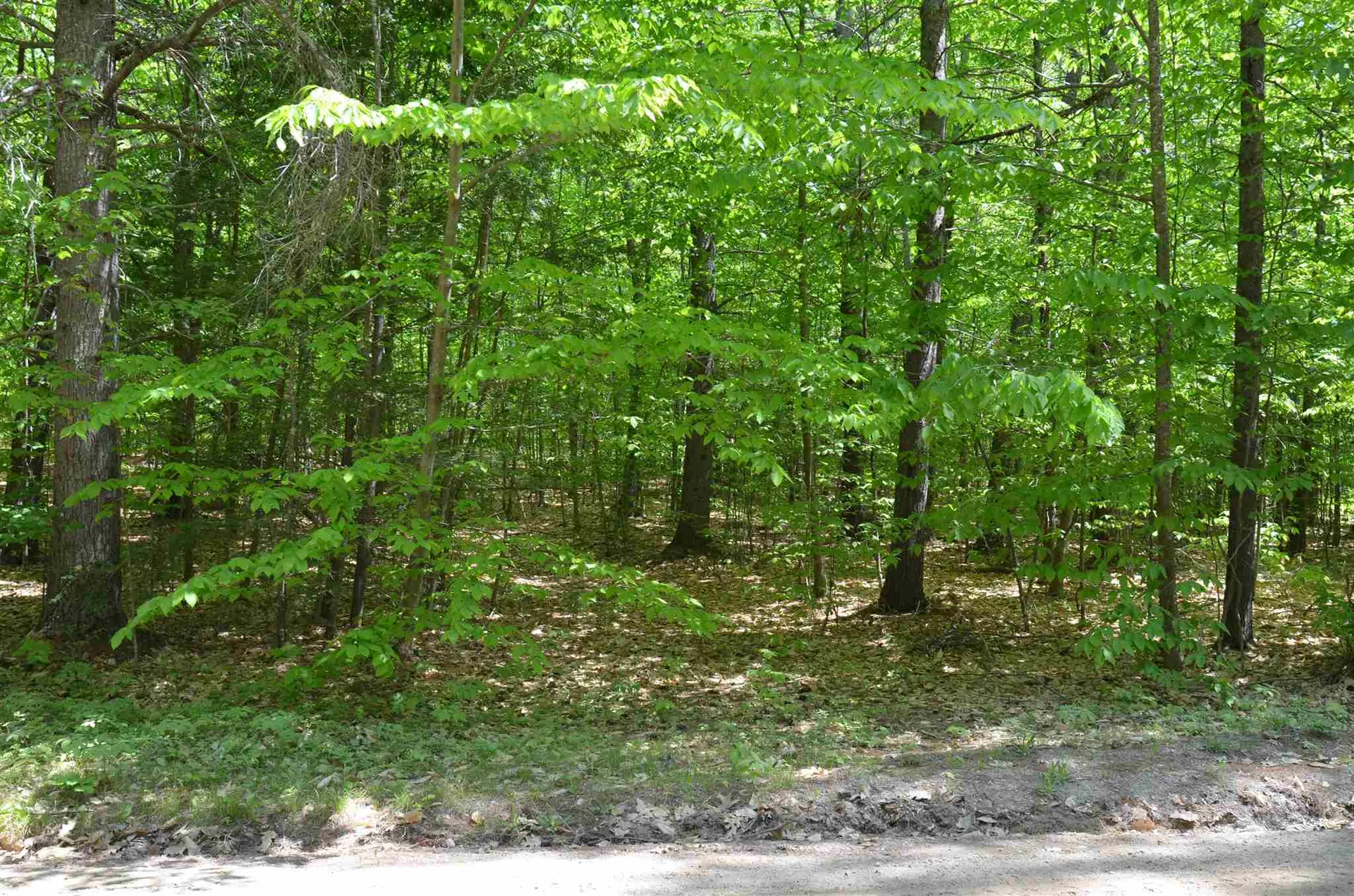 Lot 87 Freedom Point Road Freedom NH 03836
