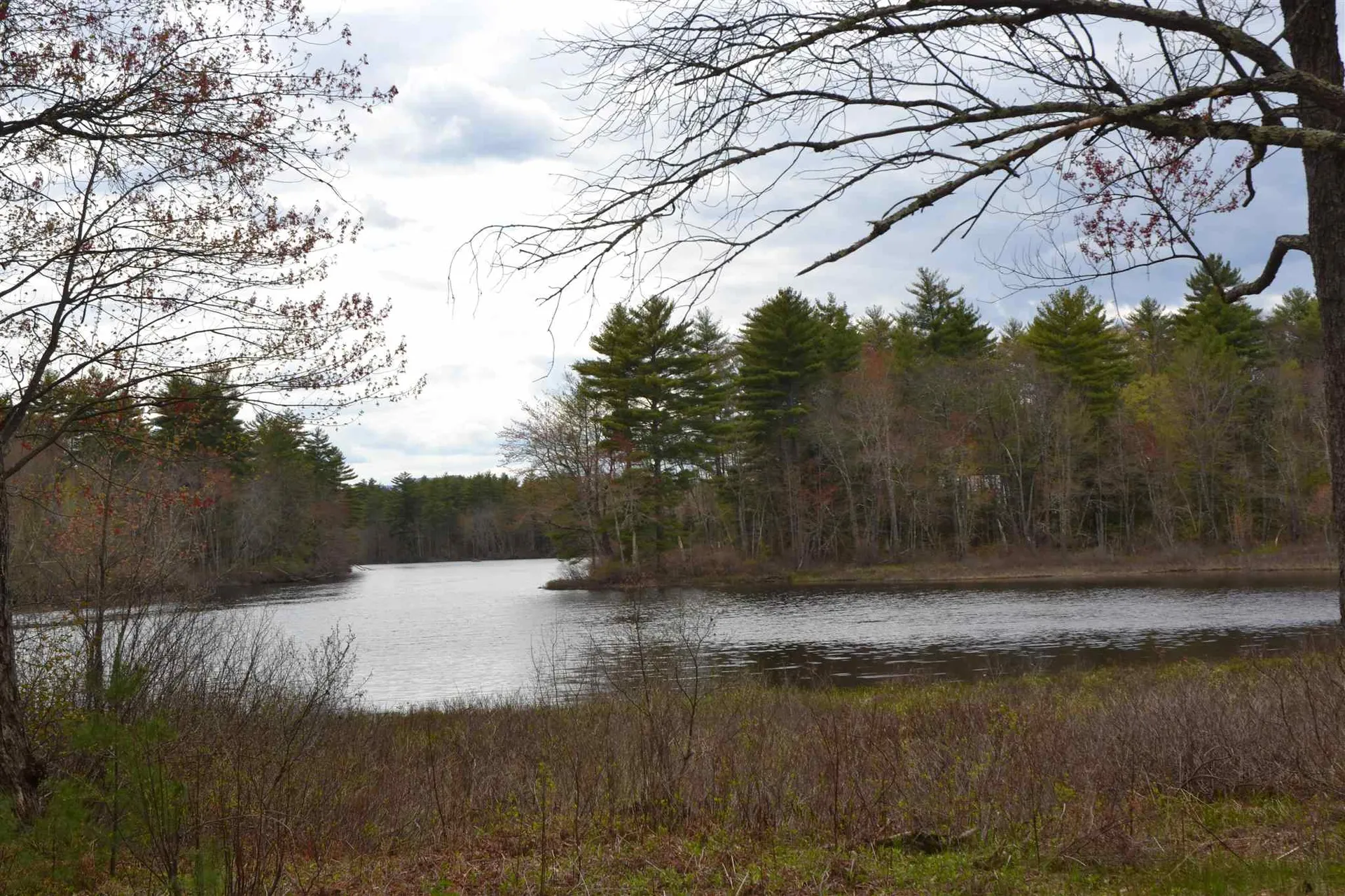 Lot 87 Freedom Point Road Freedom NH 03836