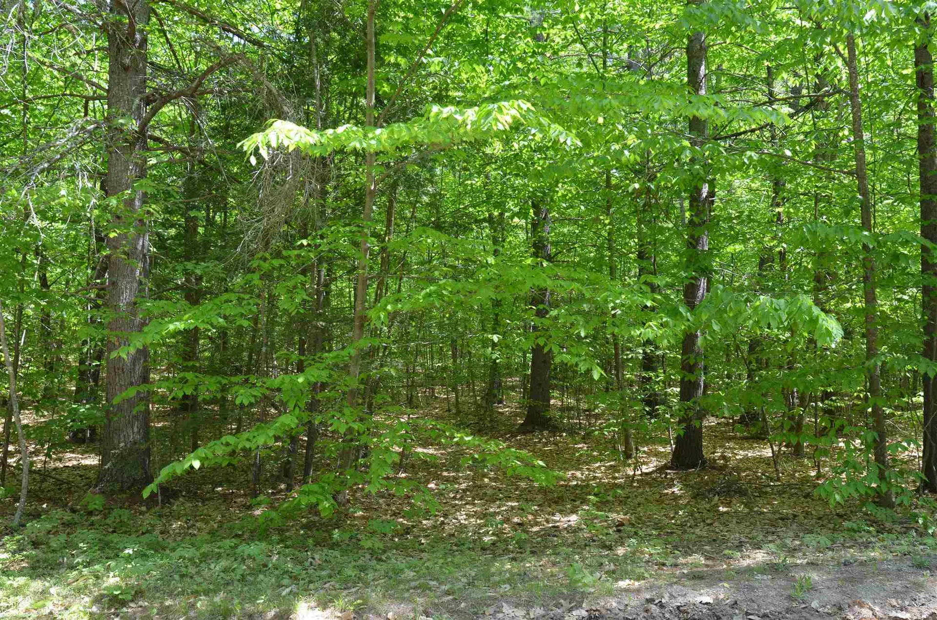 Lot 87 Freedom Point Road Freedom NH 03836