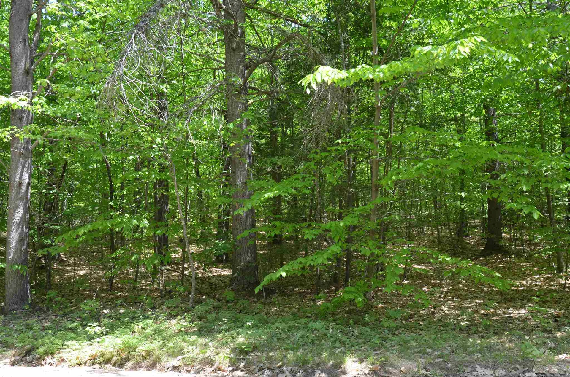 Lot 87 Freedom Point Road Freedom NH 03836