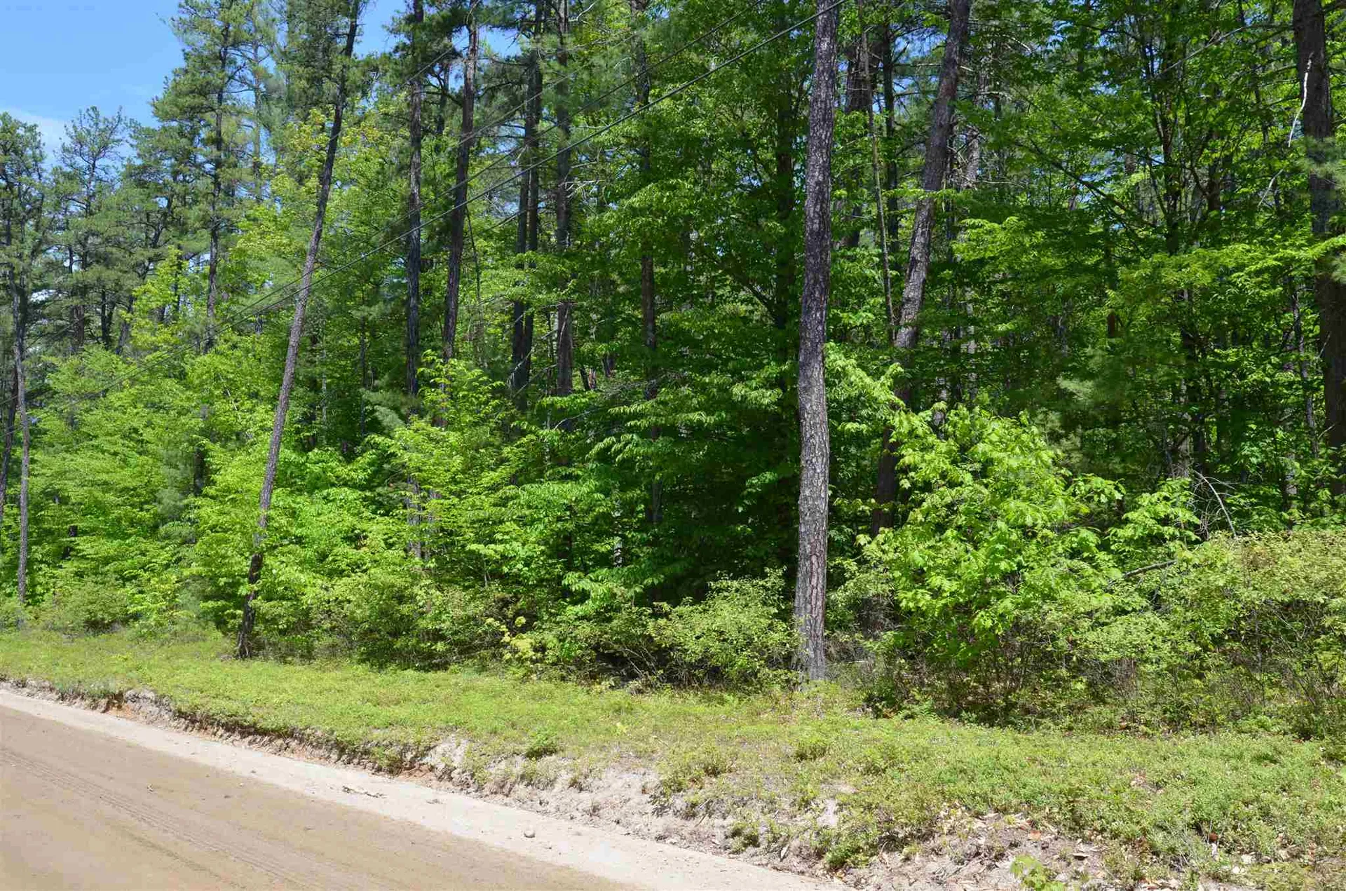 Lot 87 Freedom Point Road Freedom NH 03836
