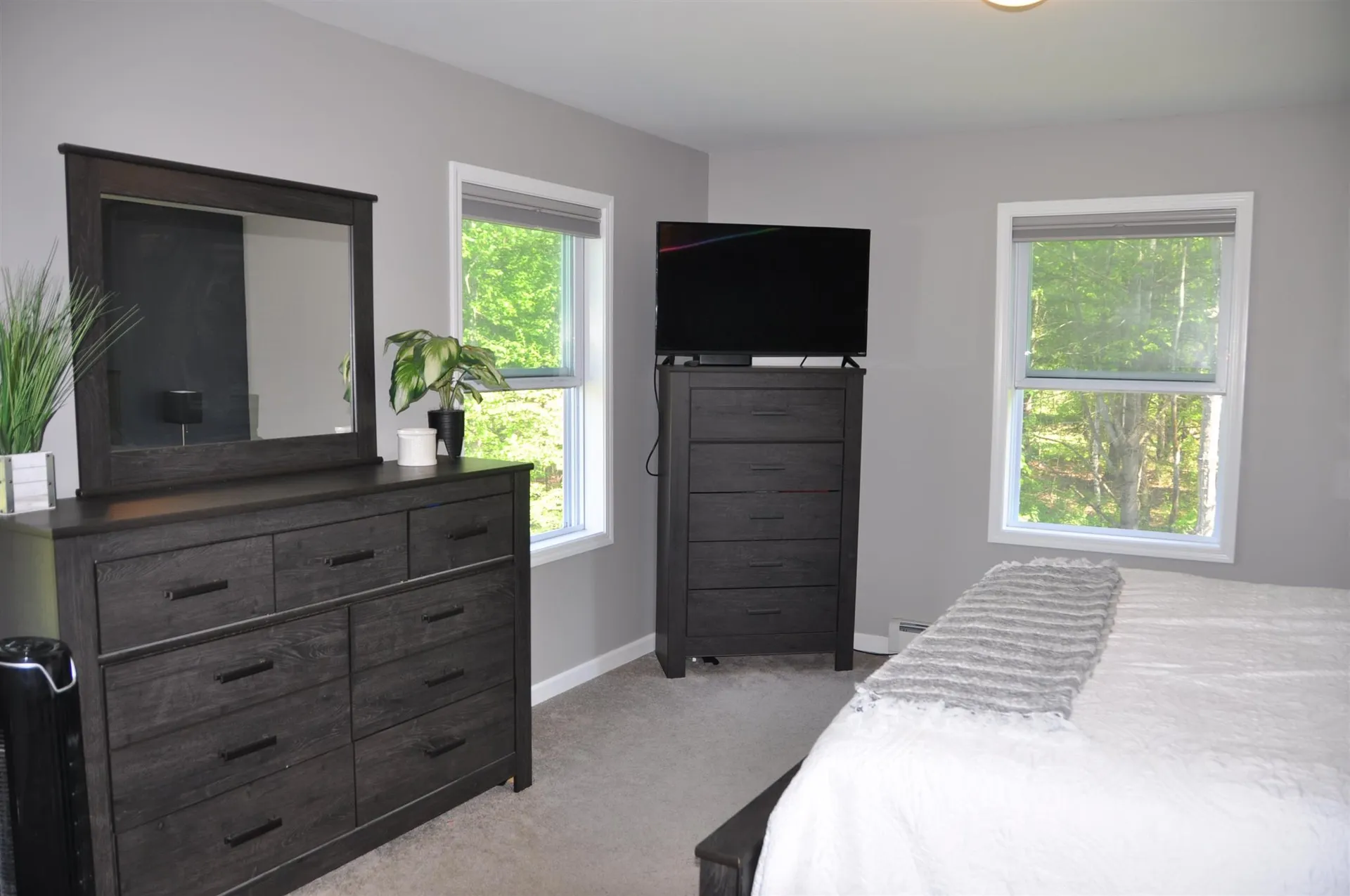 229 Daisy Lane Middlebury VT 05753