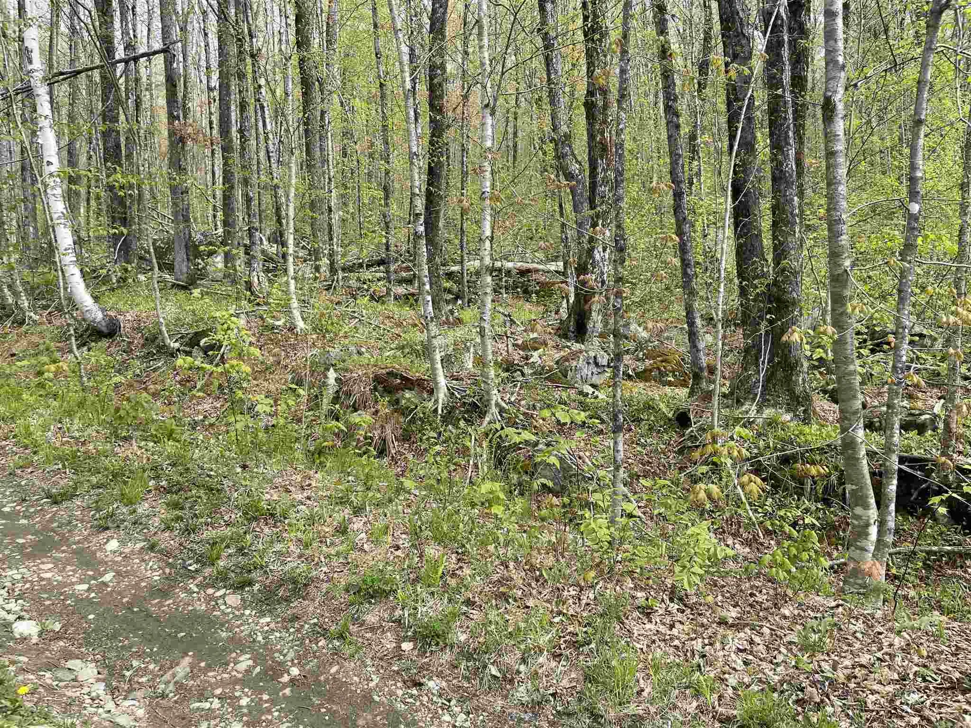 33 Heather Lane Mendon VT 05701