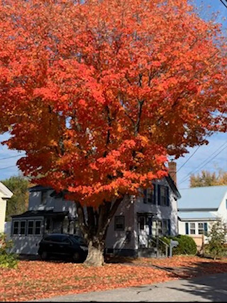 100 Howard Street Keene NH 03431