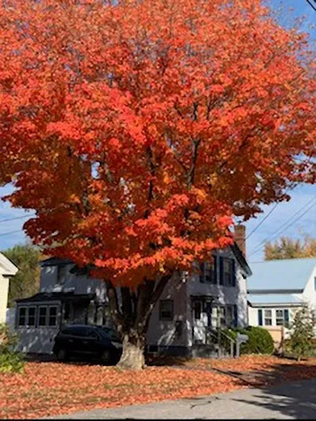 100 Howard Street Keene NH 03431