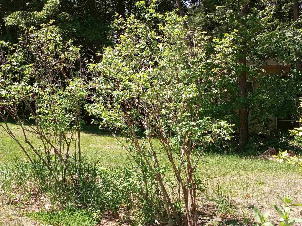 35 Stevens Road Charlestown NH 03603