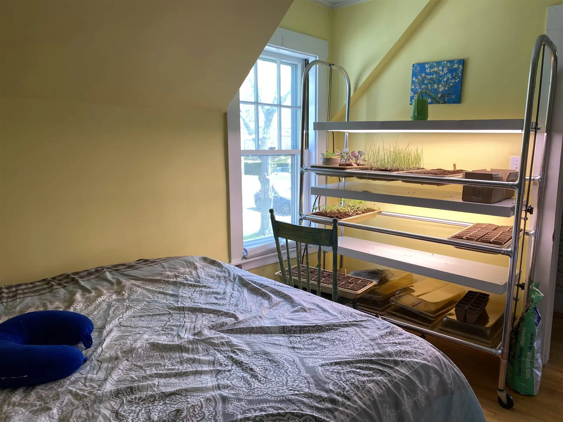 68 West Main Street Hyde Park VT 05655