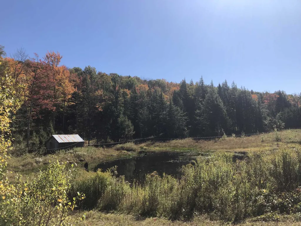 182 Manlin Road Fayston VT 05673