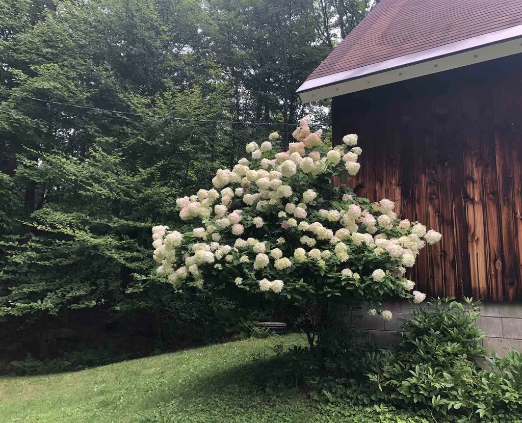 182 Manlin Road Fayston VT 05673