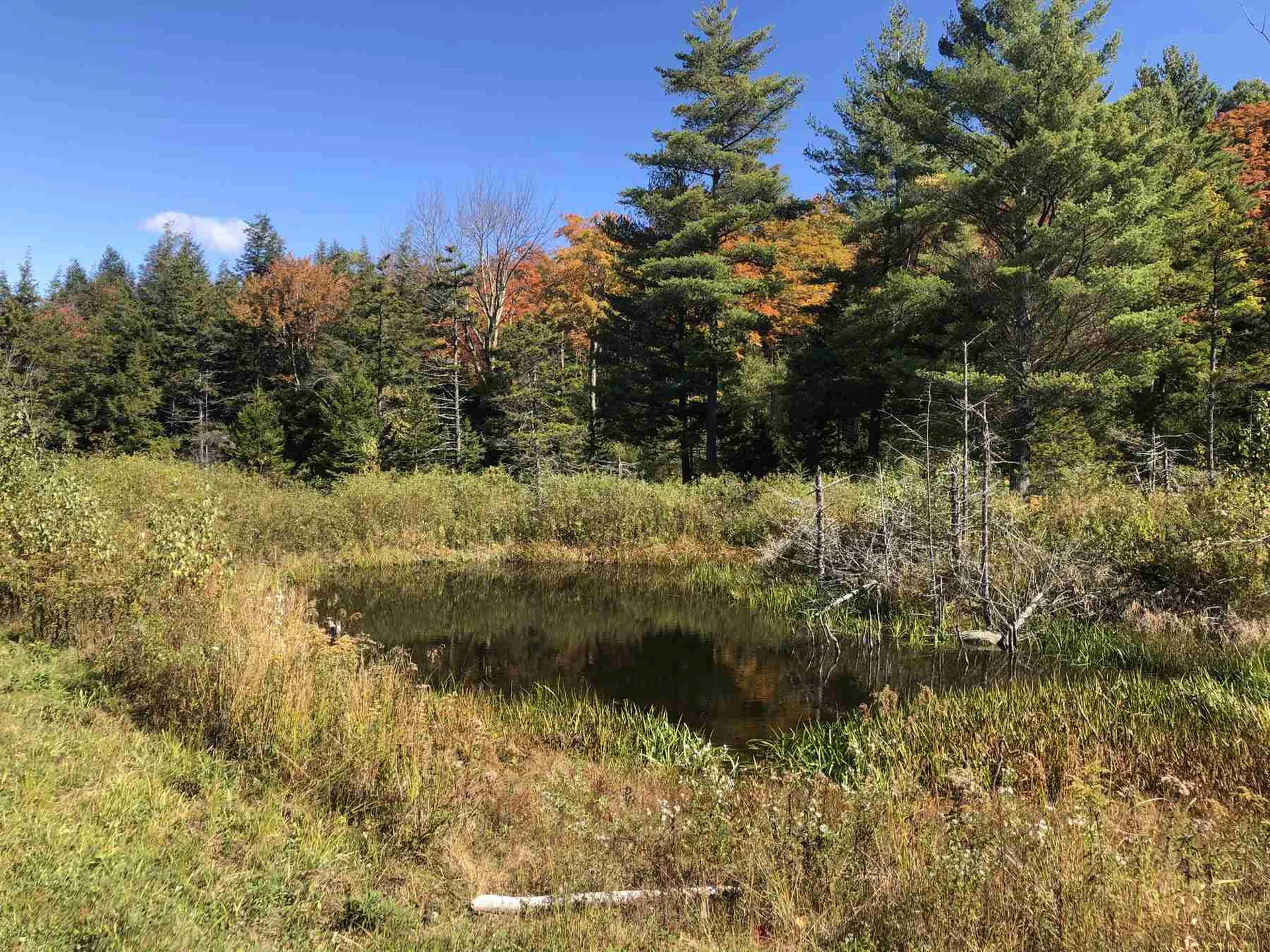 182 Manlin Road Fayston VT 05673