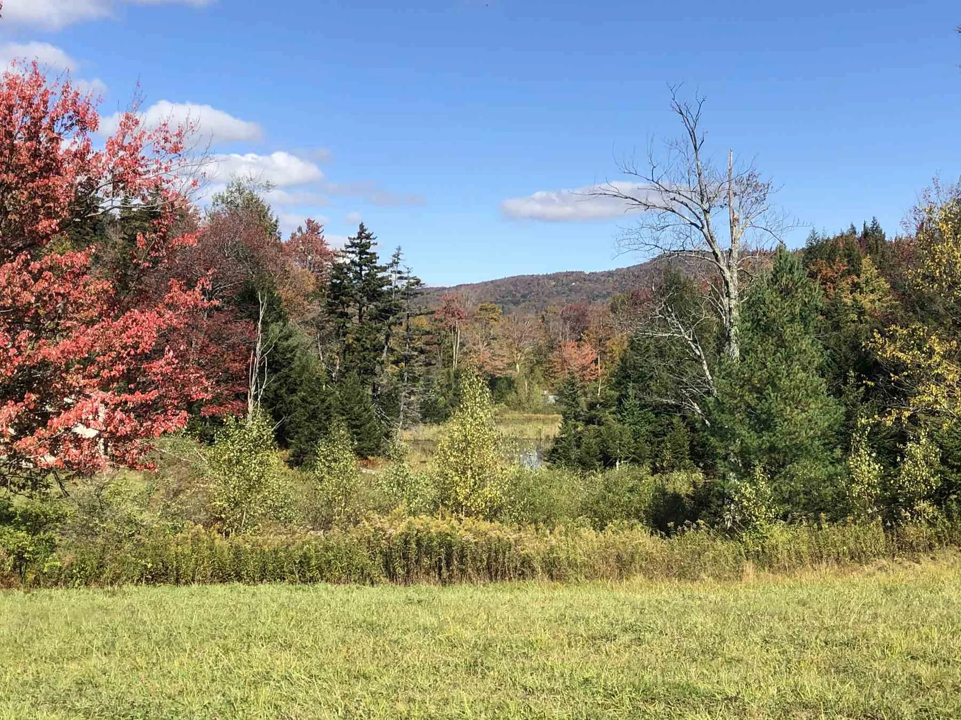 182 Manlin Road Fayston VT 05673