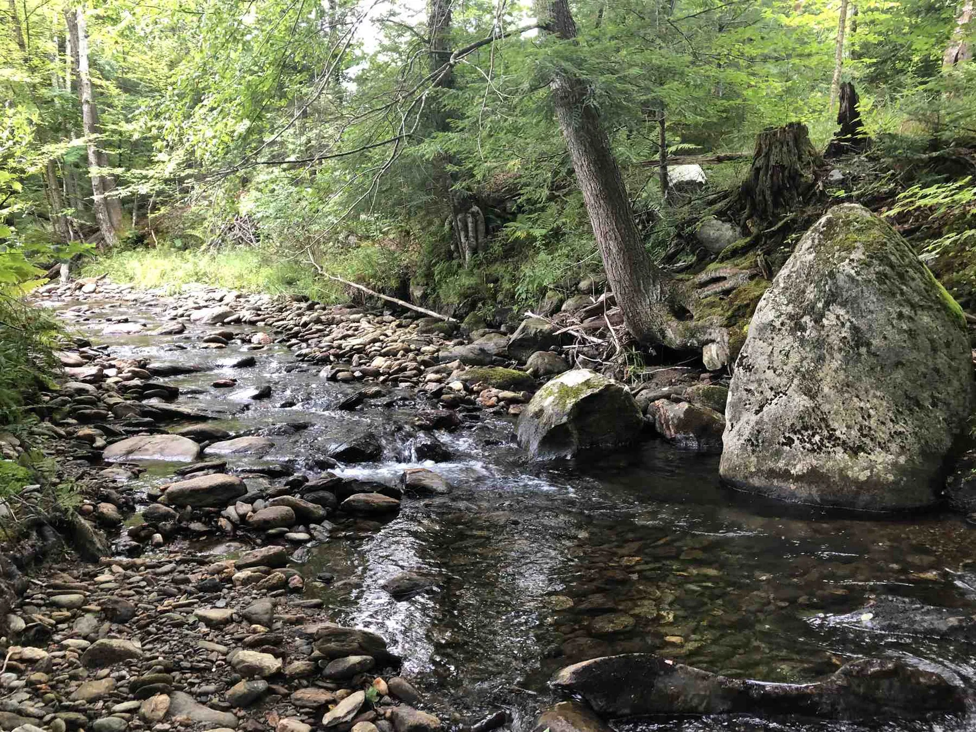 182 Manlin Road Fayston VT 05673